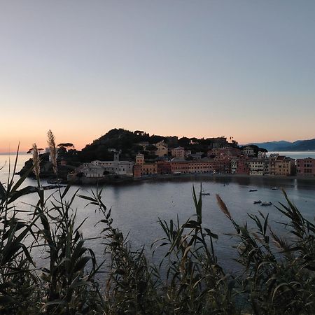 La Vie En Rose Flat Lejlighed Sestri Levante Eksteriør billede