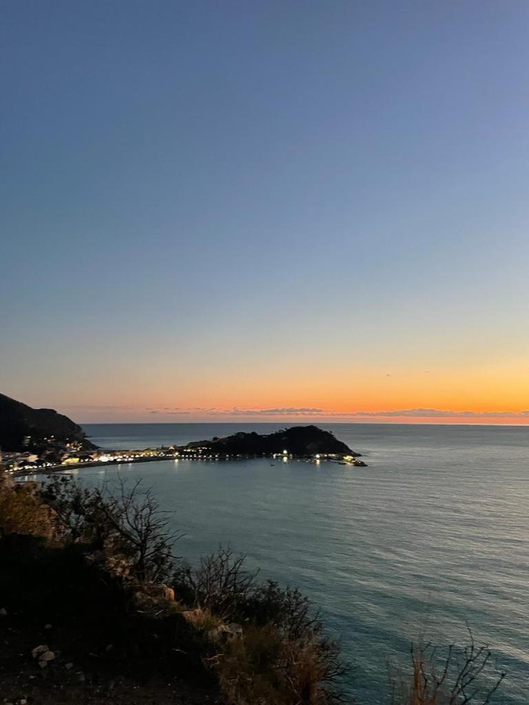 La Vie En Rose Flat Lejlighed Sestri Levante Eksteriør billede
